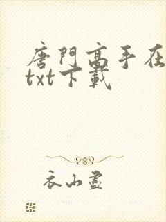 唐门高手在异世txt下载