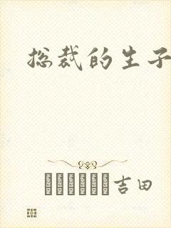 总裁的生子情人