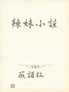 辣妹小说