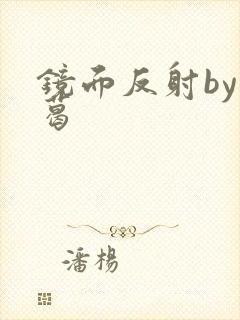 镜面反射by九葛