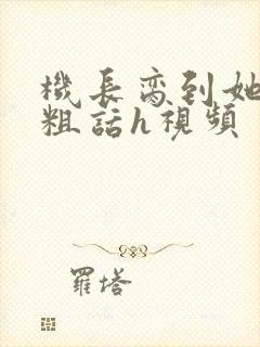 机长脔到她哭h粗话h视频