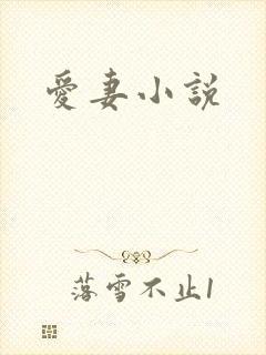 爱妻小说