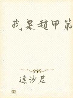 我是赵甲第小说