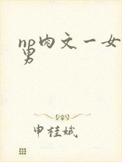 np肉文一女多男