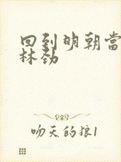 回到明朝当王爷林劲