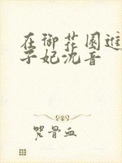 在御花园进入太子妃沈音