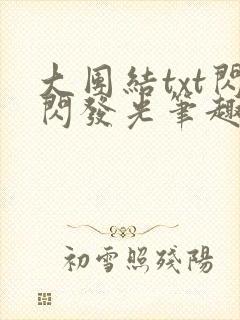 大团结txt闪闪发光笔趣阁