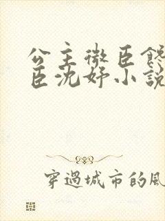 公主微臣馋了微臣沈妤小说