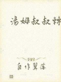 汤姆叔叔转接口