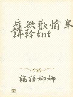 瘾欲欢愉半块小饼干tnt