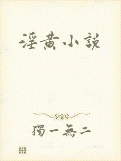 淫黄小说