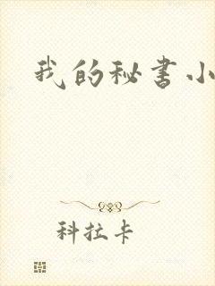 我的秘书小姐