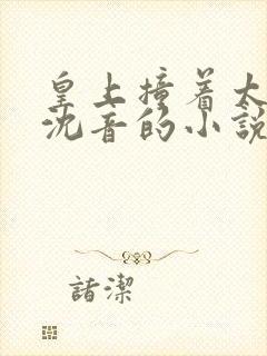 皇上撞着太子妃沈音的小说叫什么