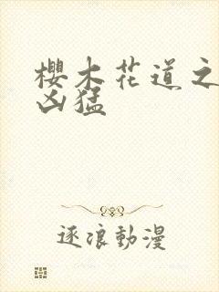 樱木花道之重生凶猛