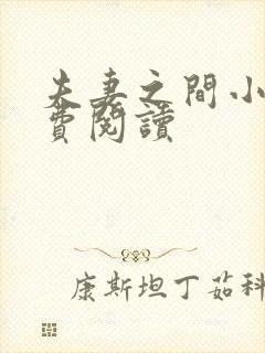 夫妻之间小说免费阅读