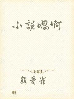 小说嗯啊