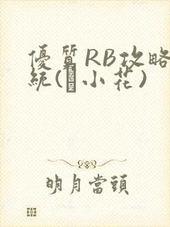 优质RB攻略系统(寀小花)封面