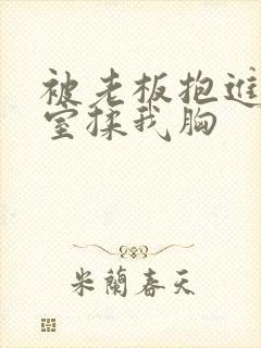 被老板抱进办公室揉我胸