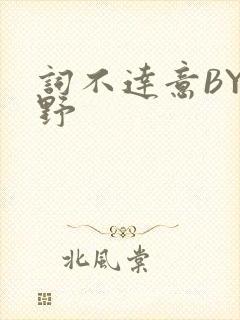 词不达意BY咩野