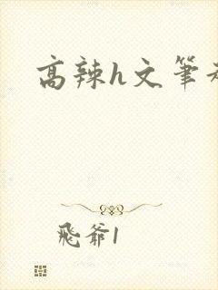 高辣h文笔趣阁