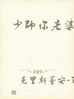 少帅你老婆