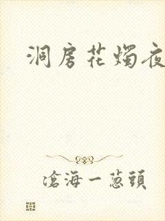 洞房花烛夜小说