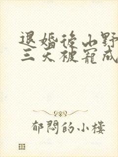 退婚后山野糙汉三天被宠成宝小说