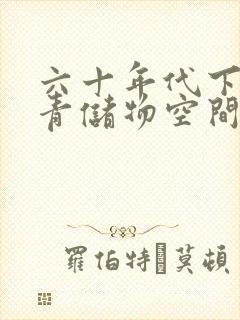 六十年代下乡知青储物空间