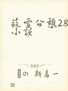 苏雪公憩28篇小说