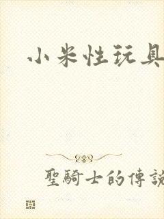 小米性玩具日记