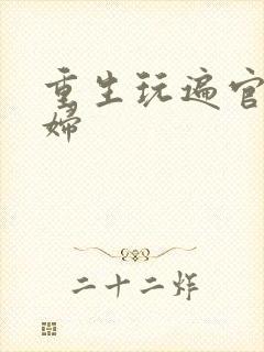 重生玩遍官场贵妇