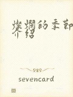 灿烂的季节剧情介绍