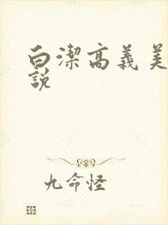 白洁高义美红小说