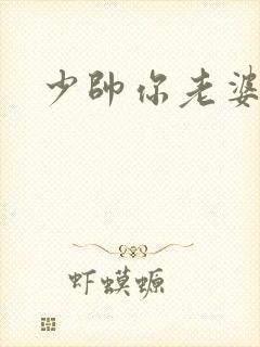 少帅你老婆封面