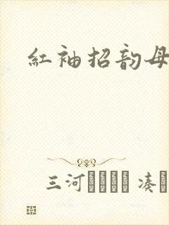 红袖招韵母攻略