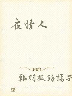 夜情人