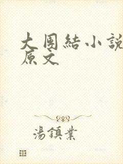 大团结小说阅读原文