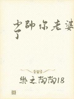 少帅你老婆又跑了