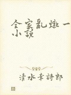 全家乱炖一锅烩小说