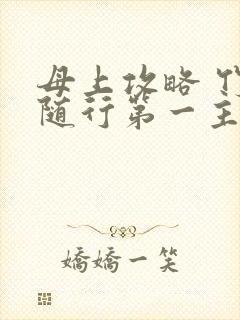 母上攻略 竹影随行第一主板