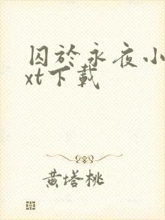 囚于永夜小说txt下载