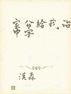 家公给我治疗5中字