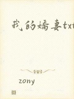 我的娇妻txt
