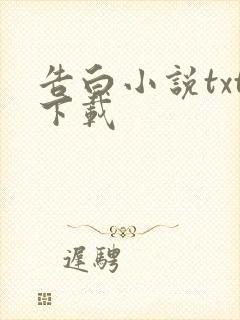 告白小说txt下载