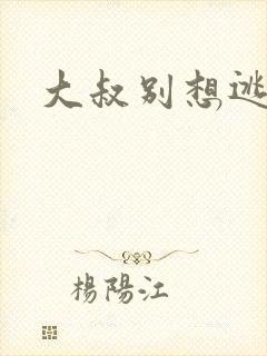 大叔别想逃