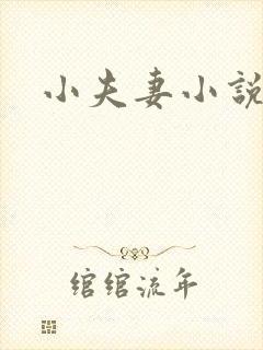 小夫妻小说