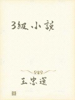 3级小说
