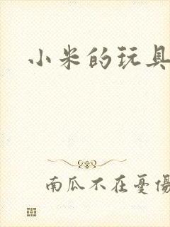 小米的玩具日记