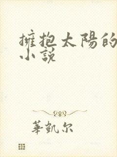 拥抱太阳的月亮小说