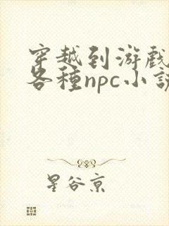 穿越到游戏里和各种npc小说